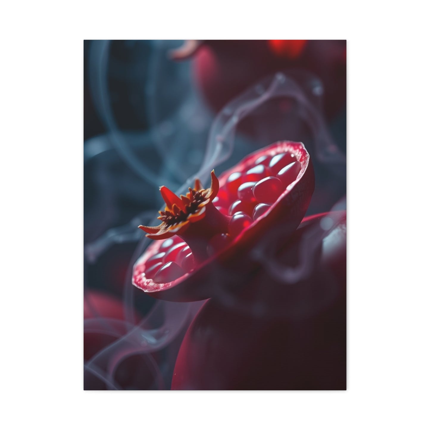 Masterpiece Pomegranate Noir Wall Art Vision Wall Art & Canvas Print