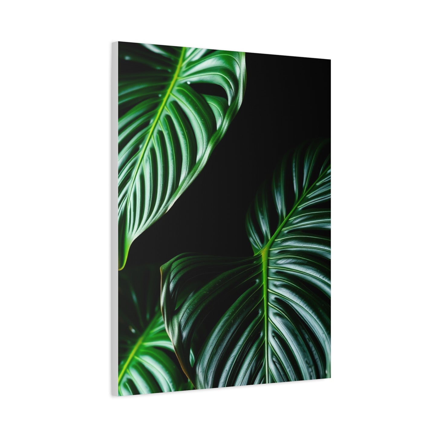 Collection Monstera Plant Art Art Wall Art & Canvas Print