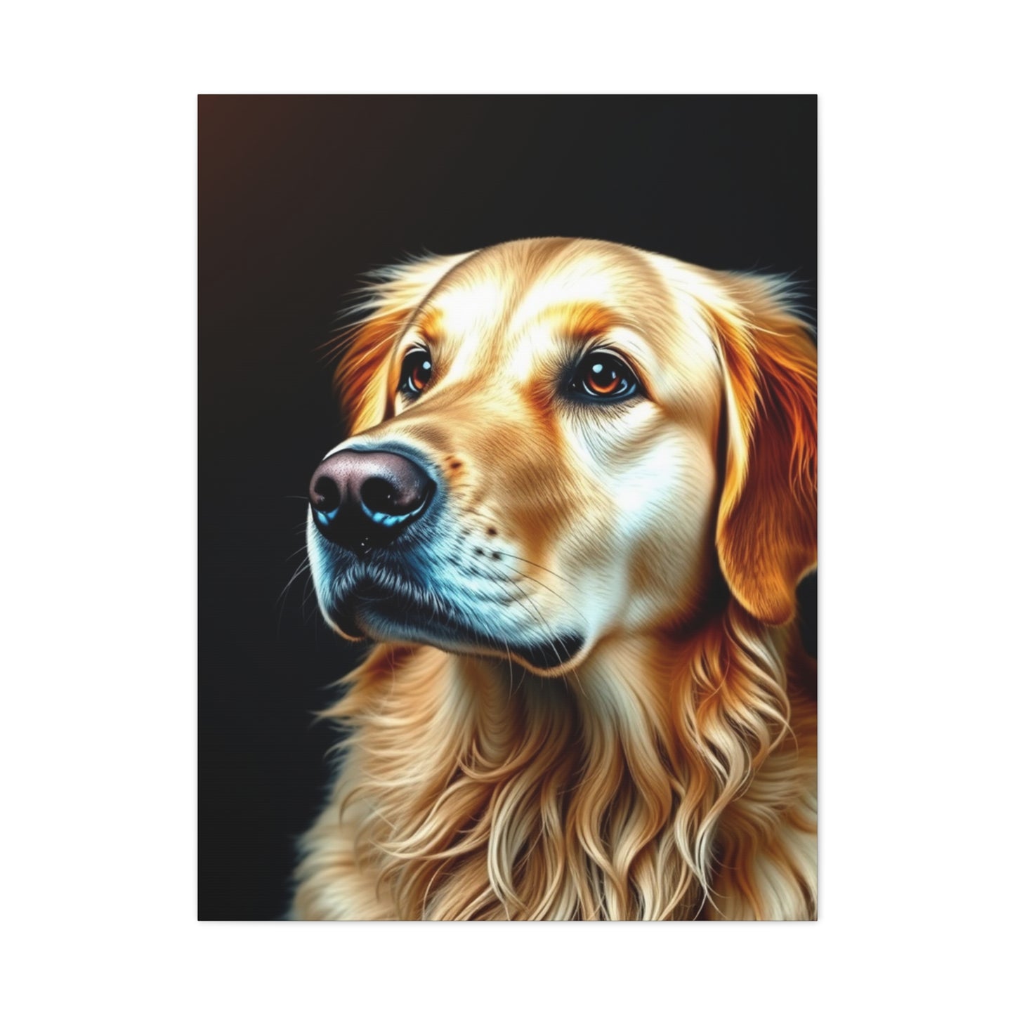 Supreme Golden Retriever Art Collection Wall Art & Canvas Print