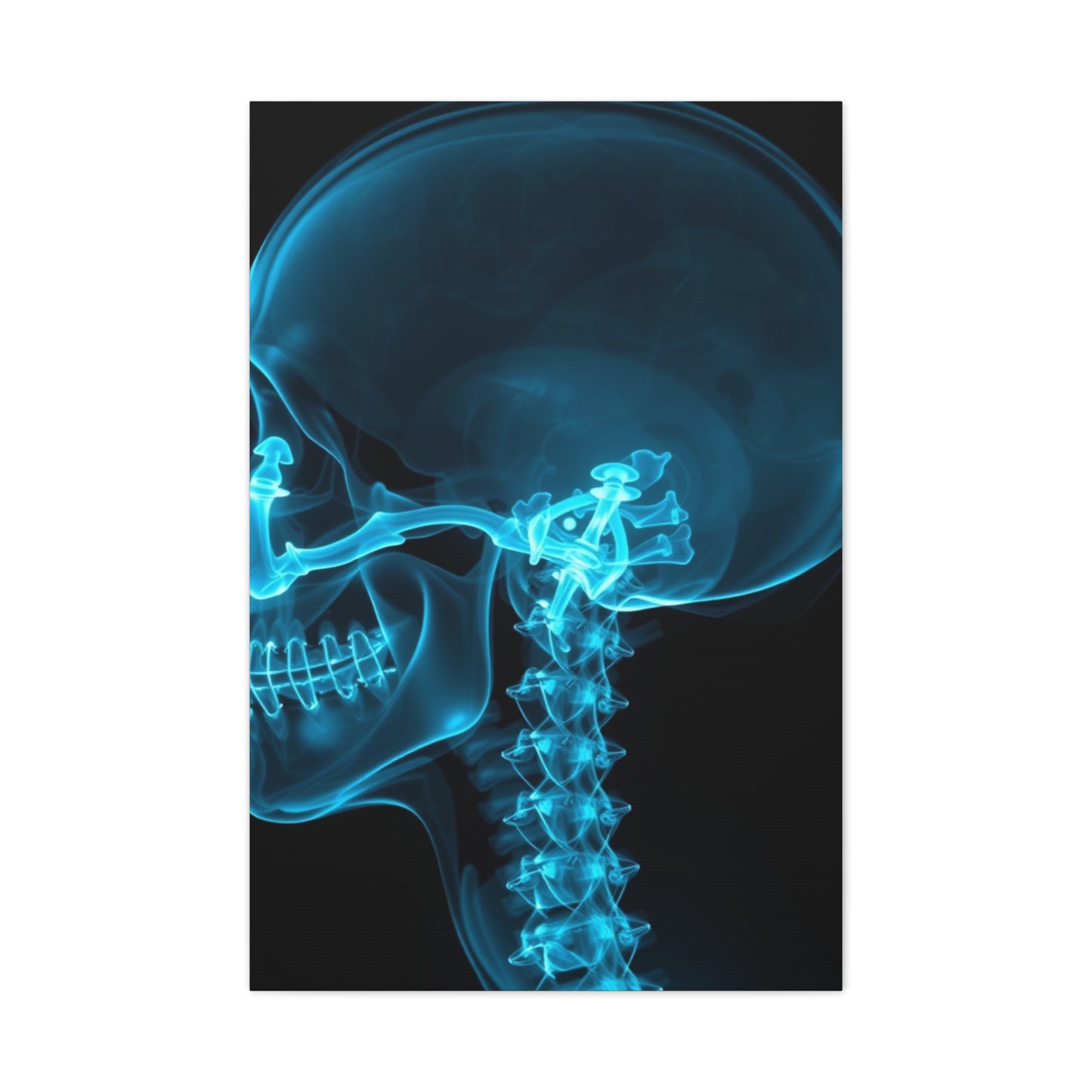 Masterpiece X-Ray Photography Art Vision Wall Art & Canvas Print