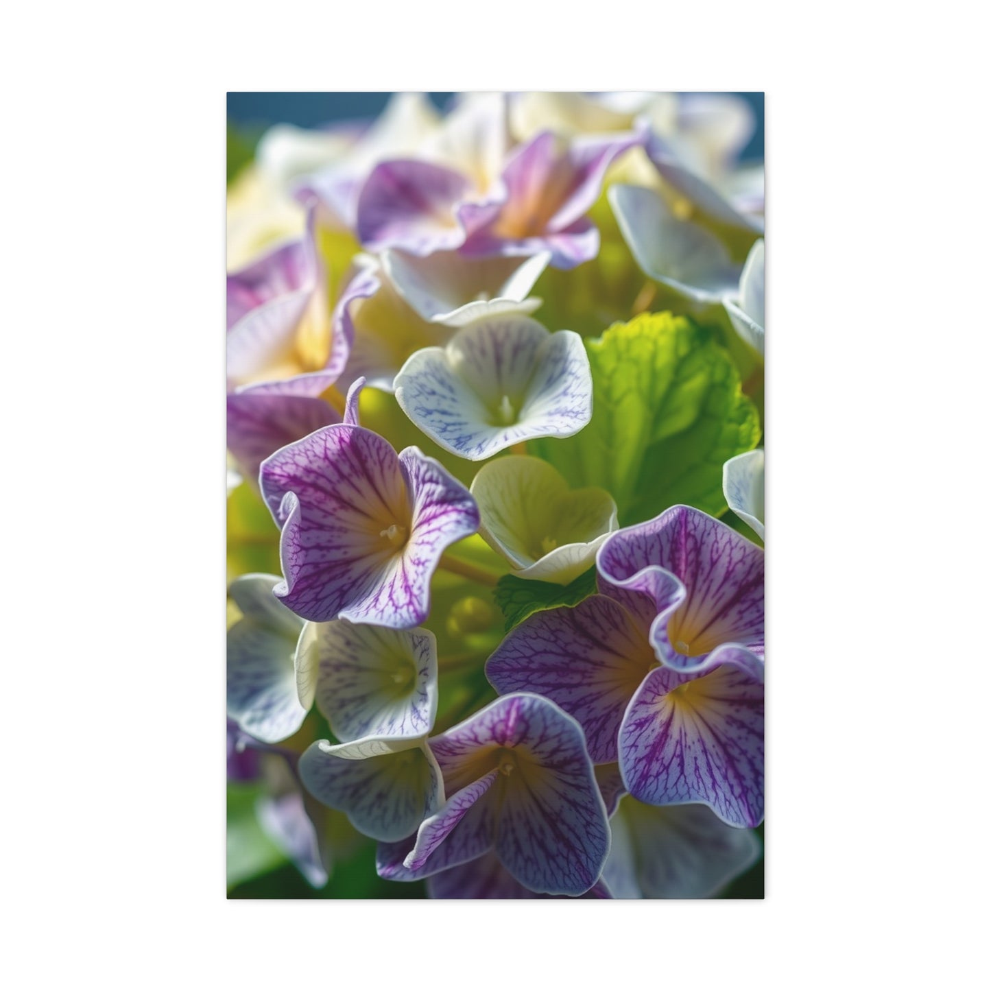 Hydrangea Flower Art Supreme Gallery Wall Art & Canvas Print