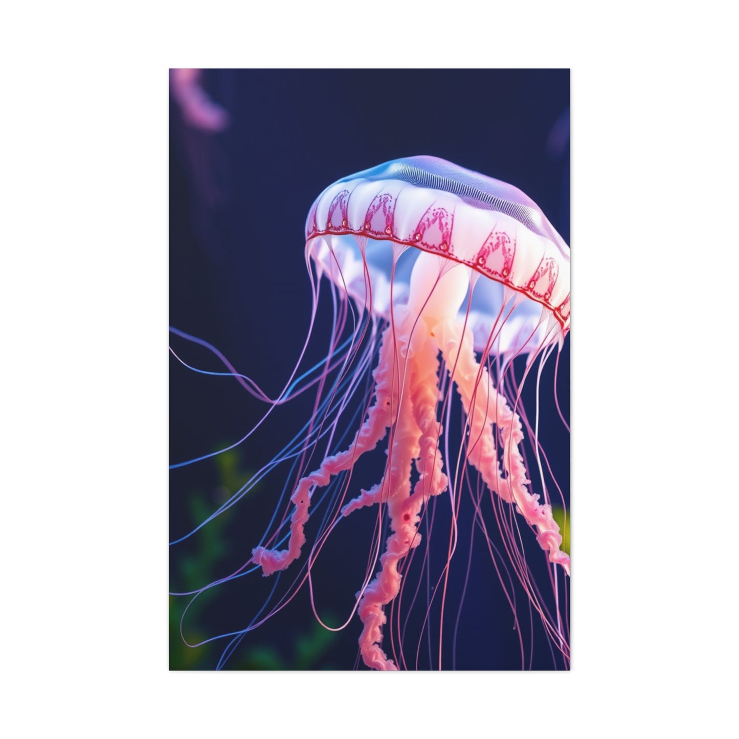 Jellyfish Art Supreme Gallery Wall Art & Canvas Print