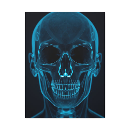 Supreme X-Ray Photography Art Collection Wall Art & Canvas Print