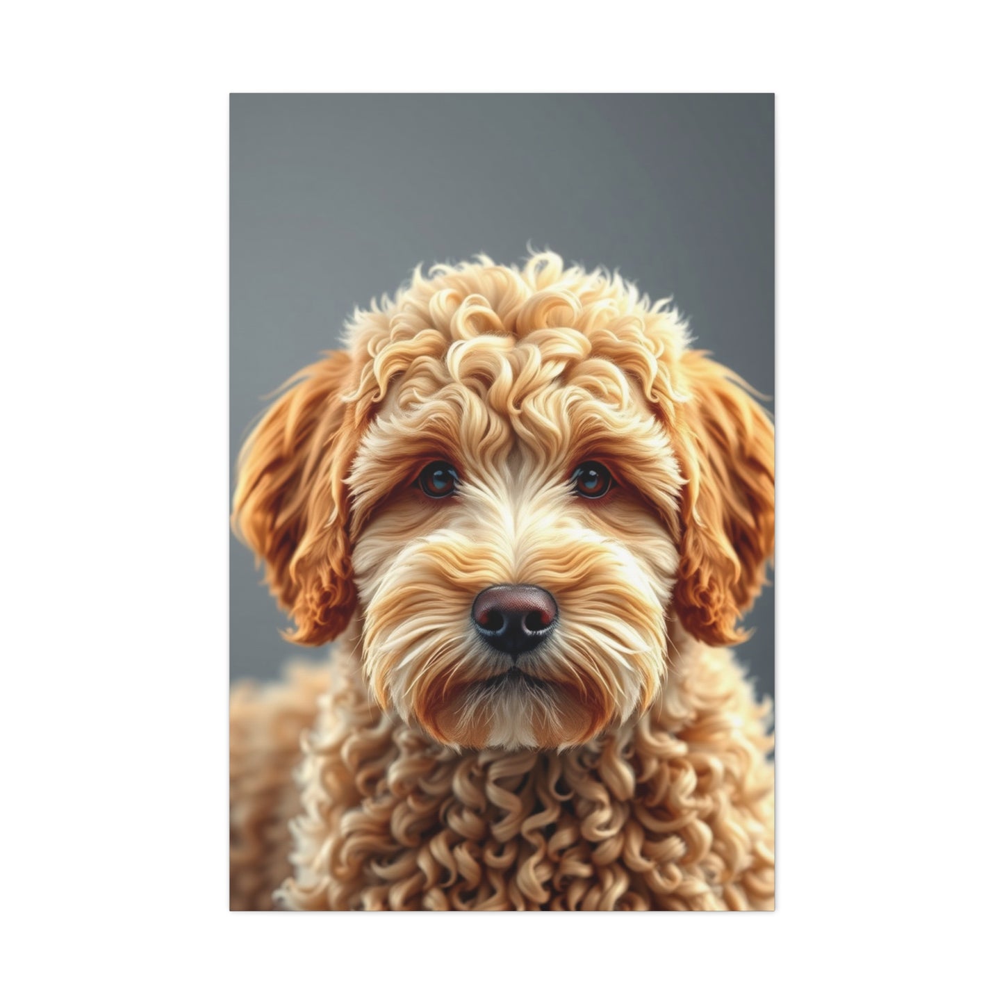 Supreme Golden Doodle Art Collection Wall Art & Canvas Print