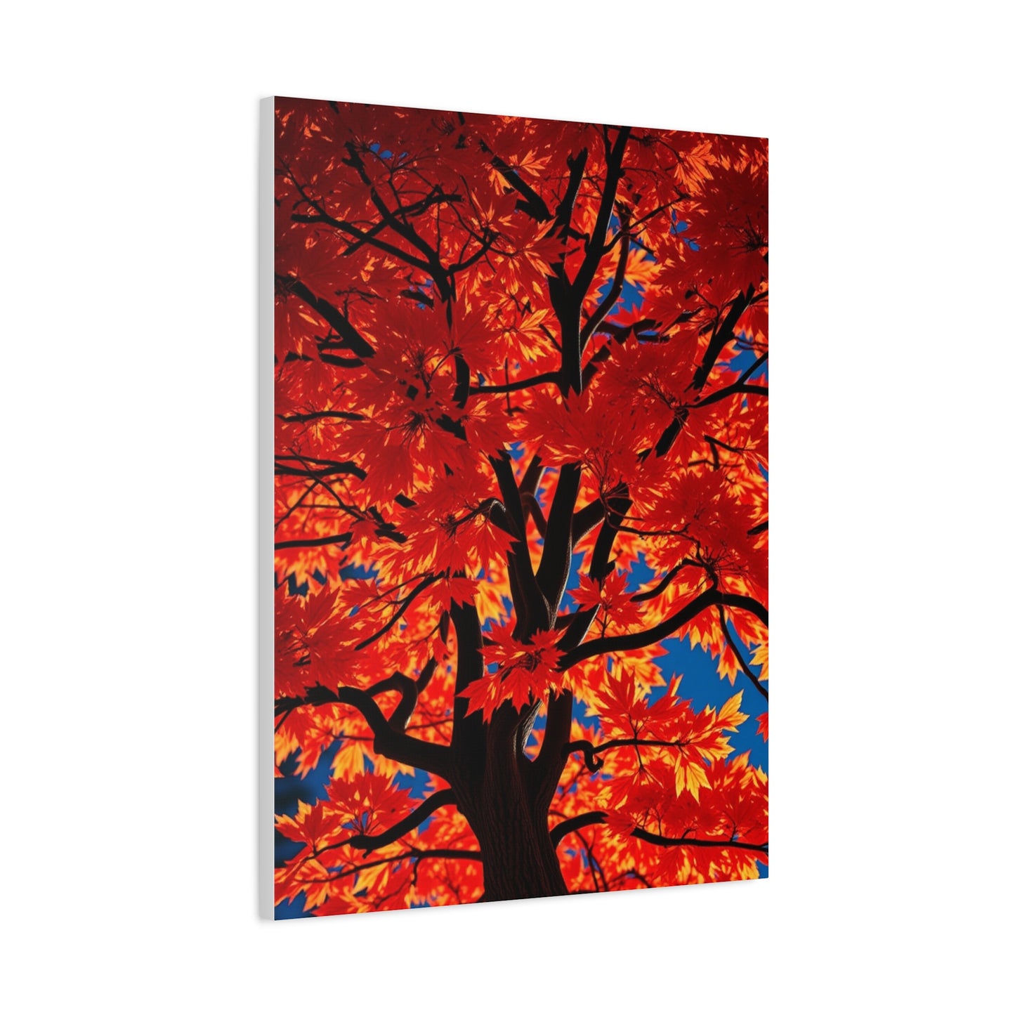 Maple Tree Art Supreme Gallery Wall Art & Canvas Print