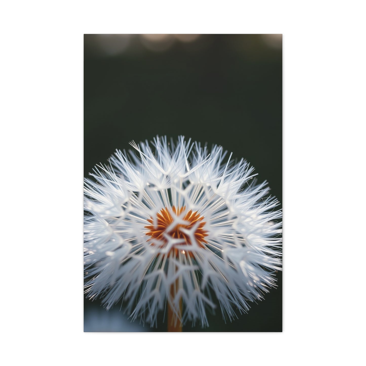 Elite Dandelion Flower Art Vision Wall Art & Canvas Print
