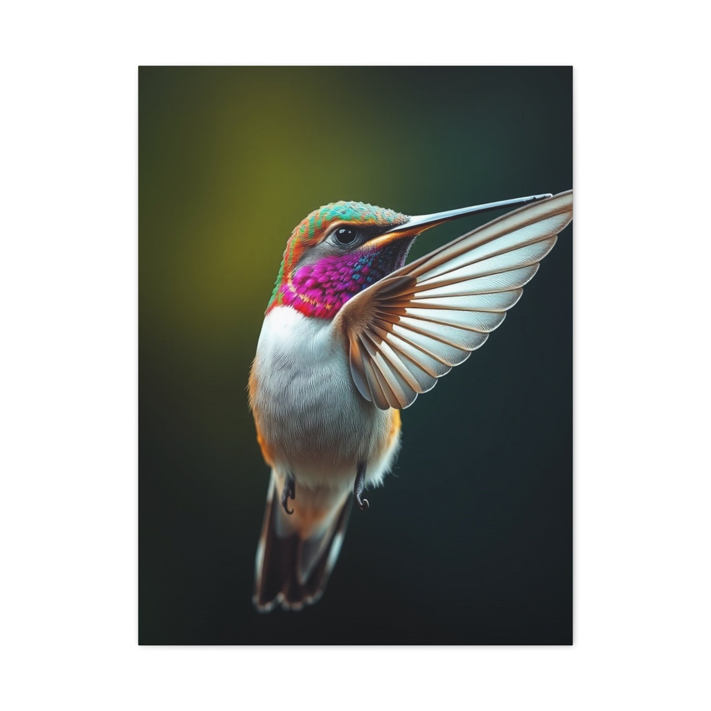 Humming Bird Art Supreme Gallery Wall Art & Canvas Print