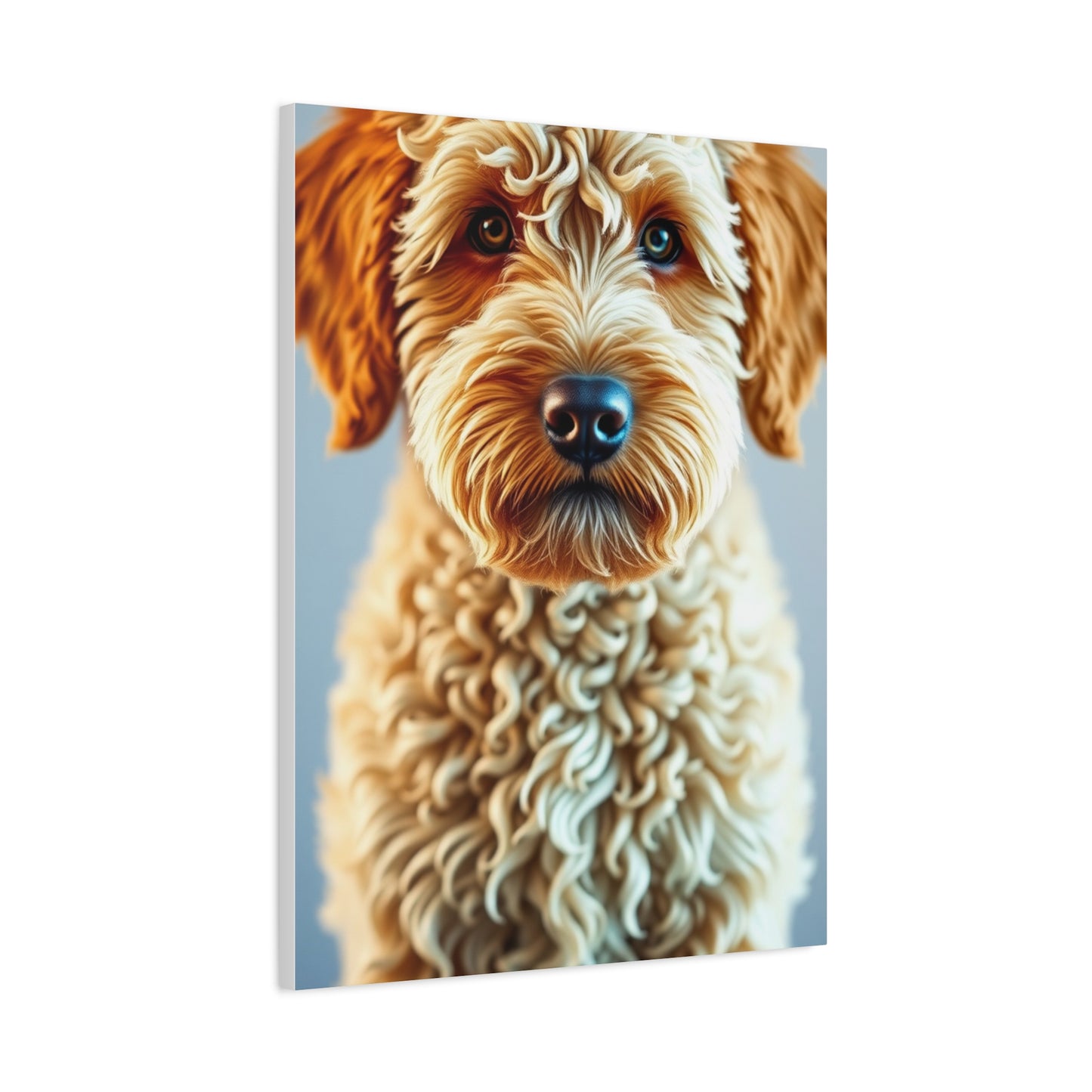 Golden Doodle Art Supreme Gallery Wall Art & Canvas Print