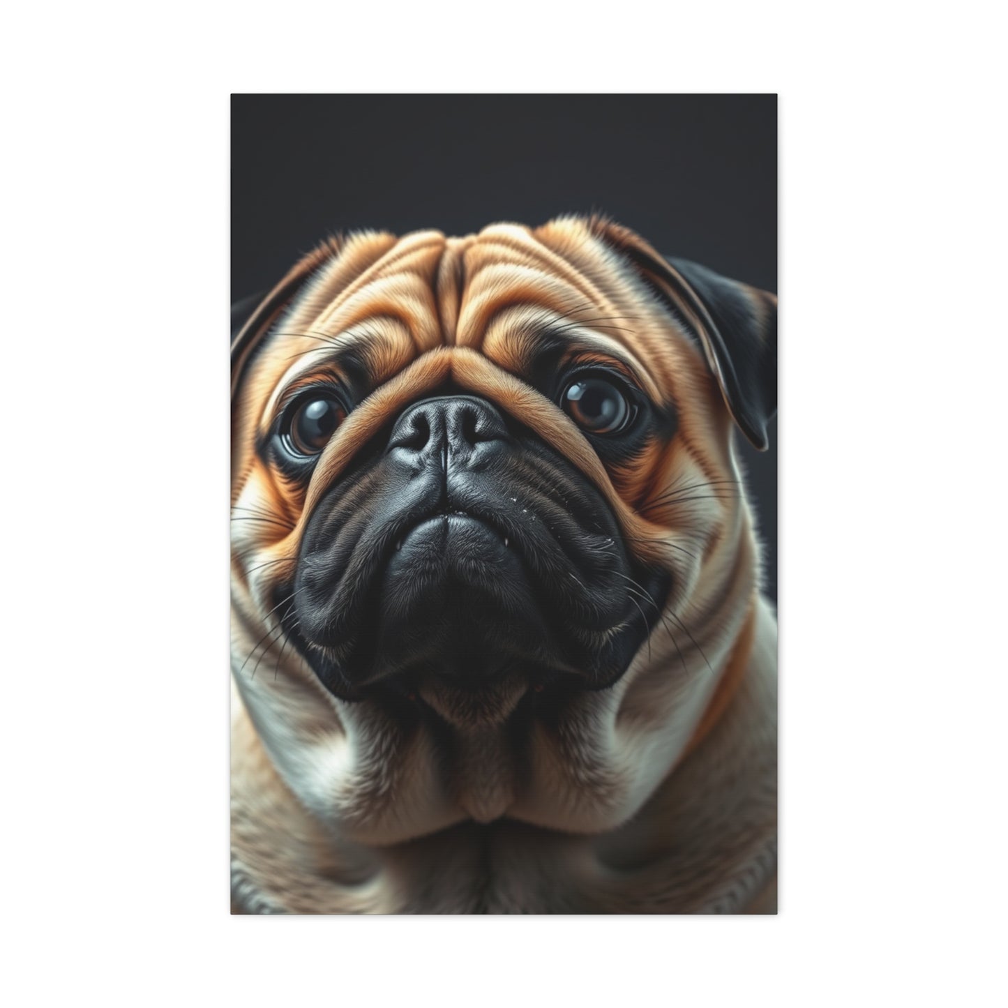 Supreme Pug Art Collection Wall Art & Canvas Print