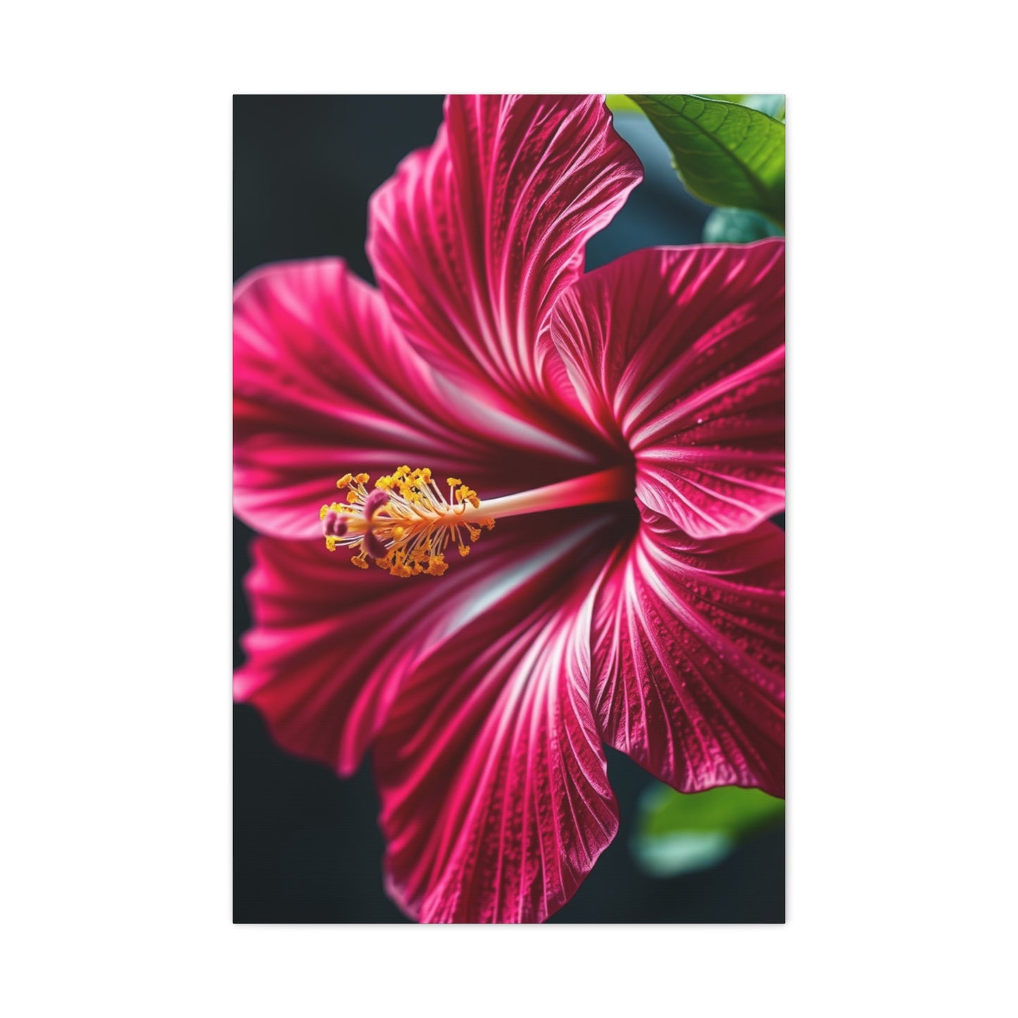 Collection Hibiscus Flower Art Art Wall Art & Canvas Print