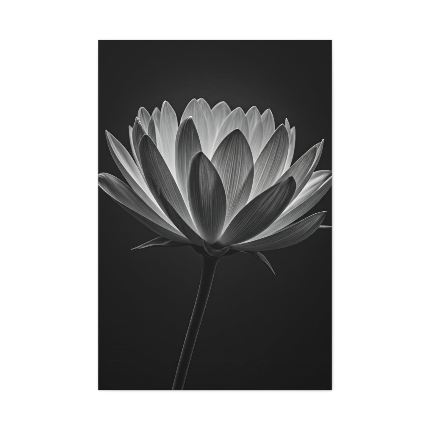 Dramatic Hibiscus Petal Study Wall Art & Canvas Prints