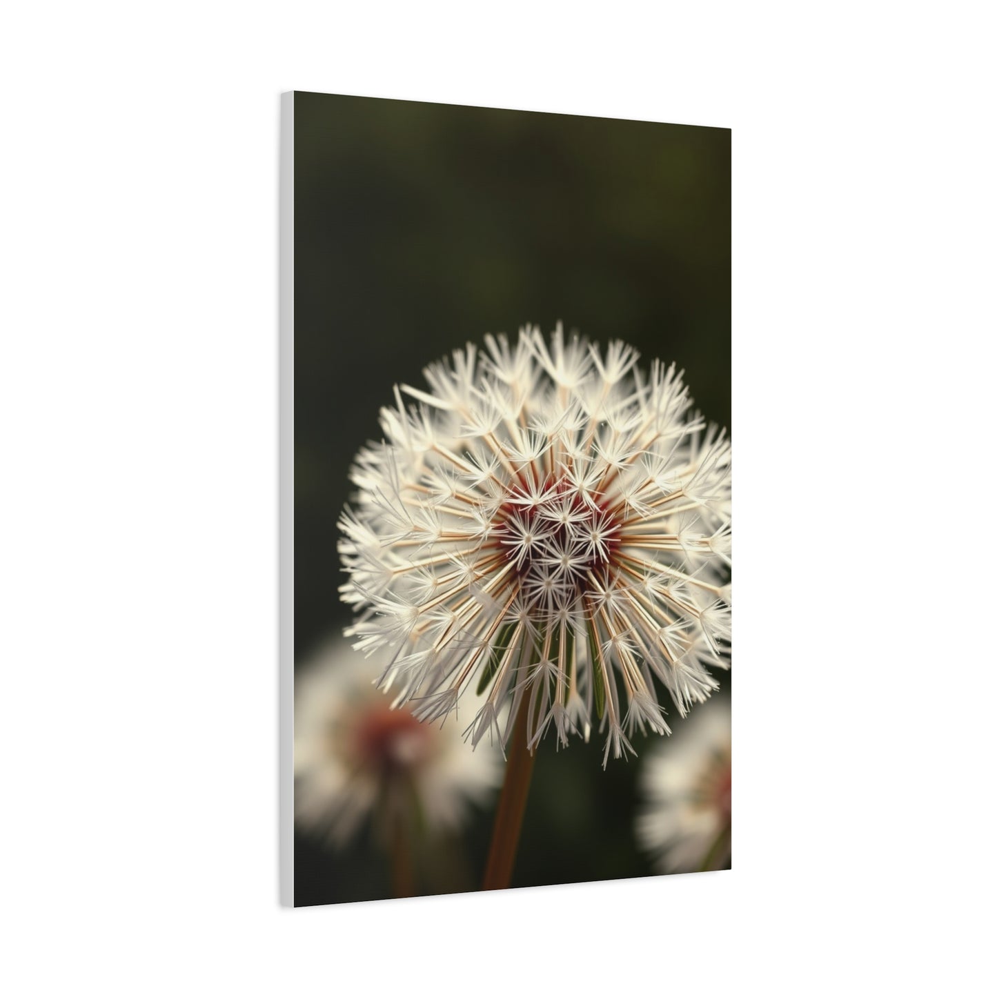 Dandelion Flower Art Supreme Gallery Wall Art & Canvas Print