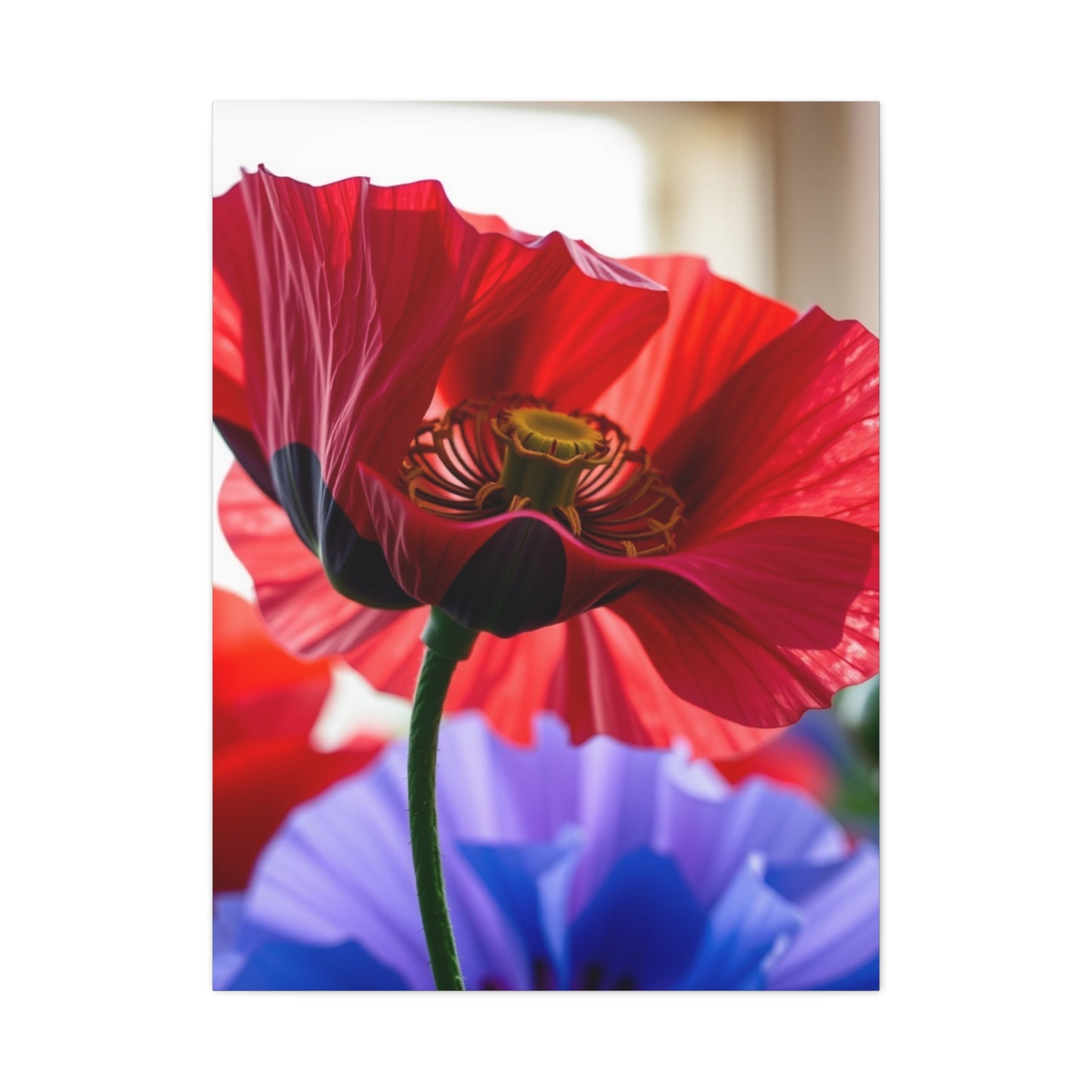 Collection Poppy Flower Art Art Wall Art & Canvas Print