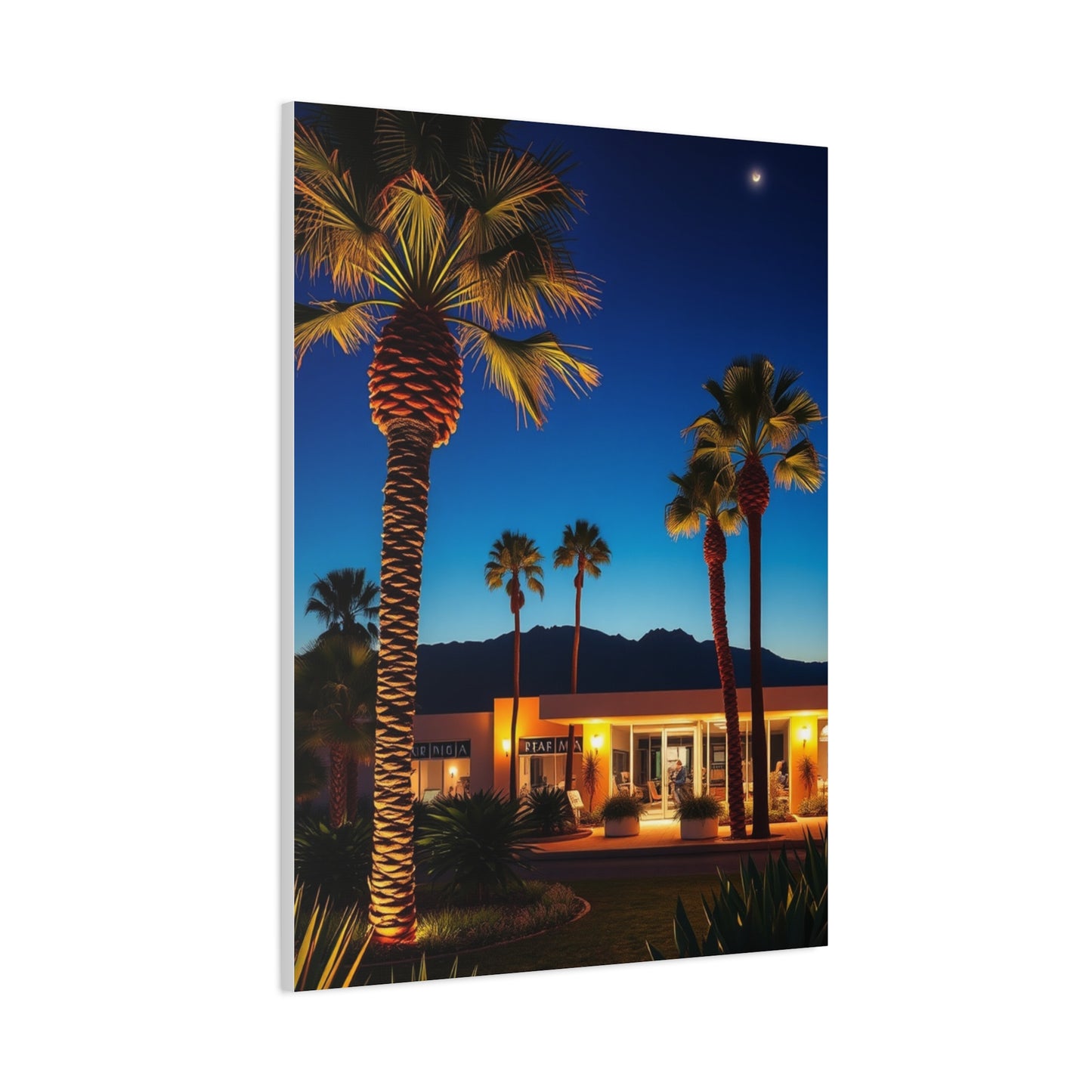 Palm Springs Art Refined Canvas Wall Art & Canvas Print