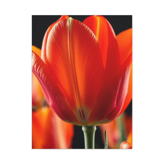 Elite Tulip Flower Art Vision Wall Art & Canvas Print