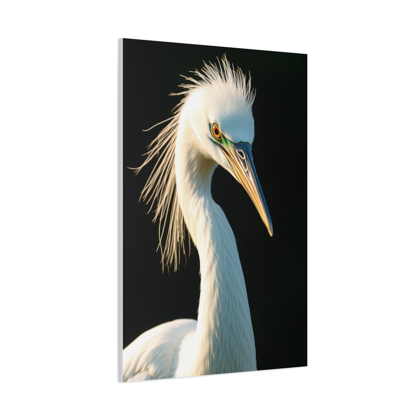 Collection Egret Art Art Wall Art & Canvas Print