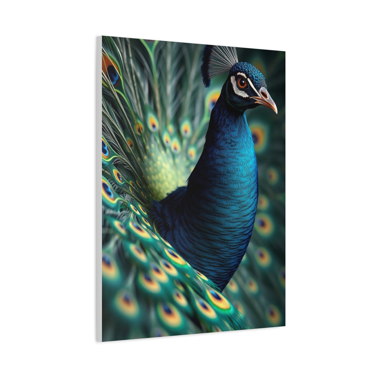 Peacock Art Luxury Canvas Wall Art & Canvas Print