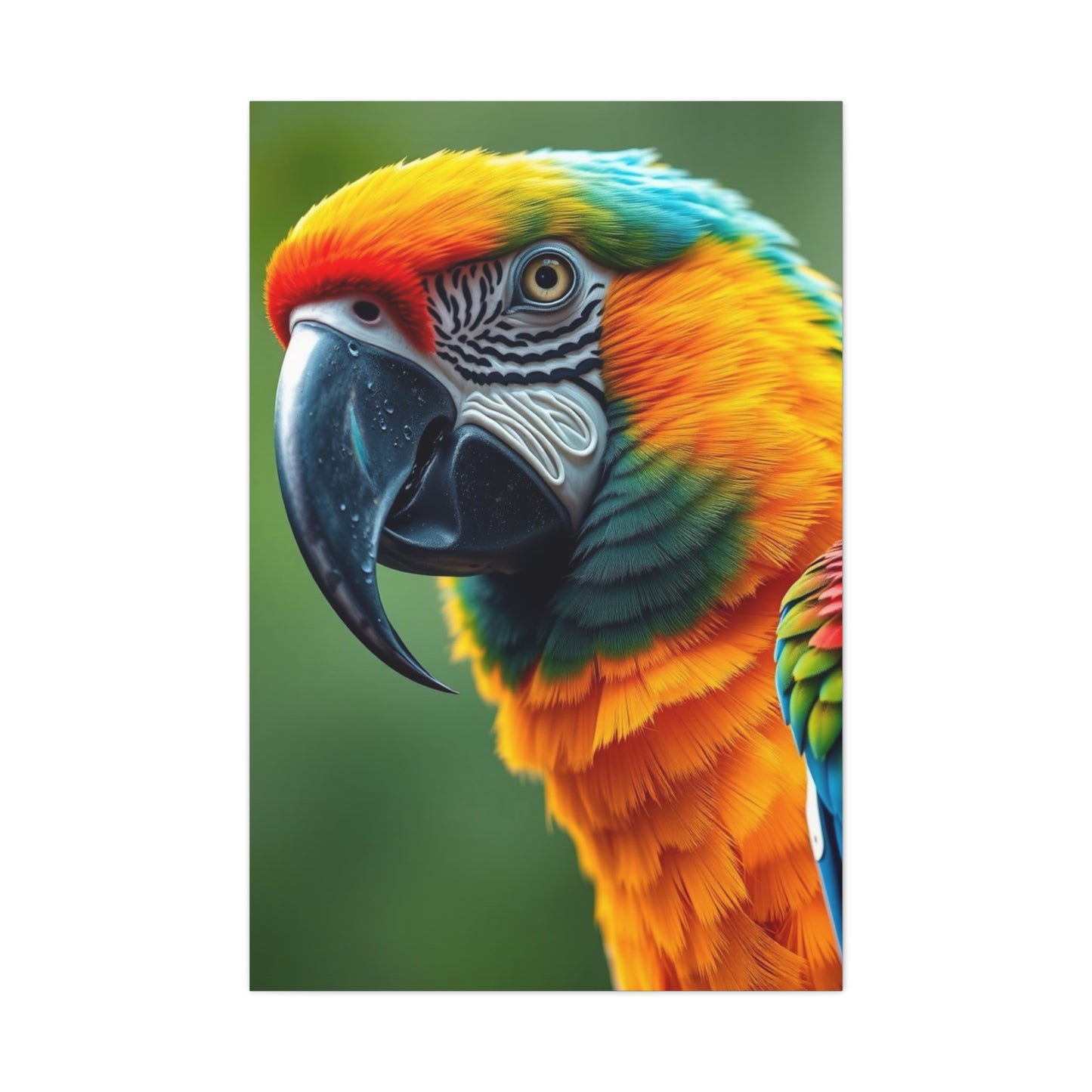 Parrot Art Supreme Gallery Wall Art & Canvas Print