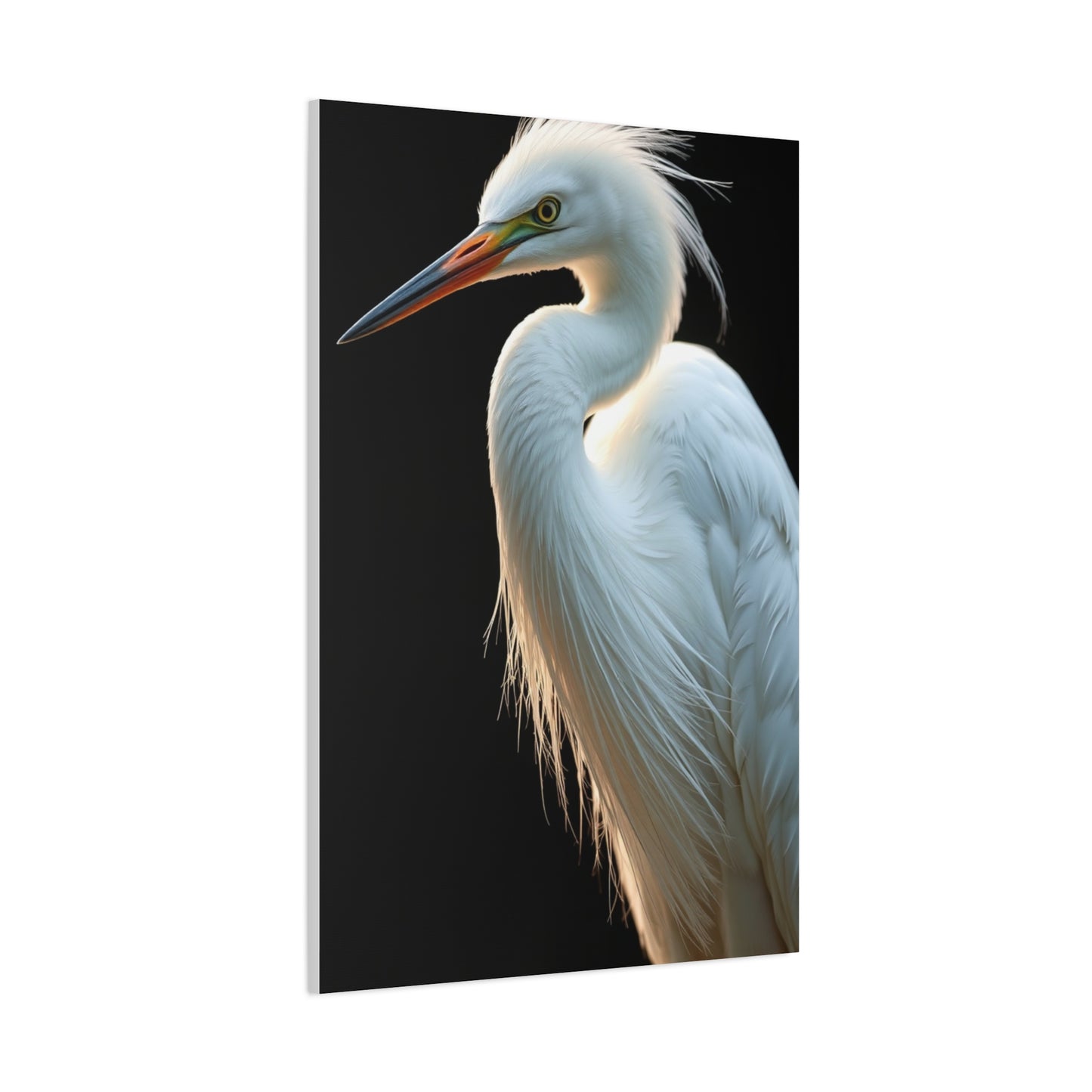 Supreme Egret Art Collection Wall Art & Canvas Print
