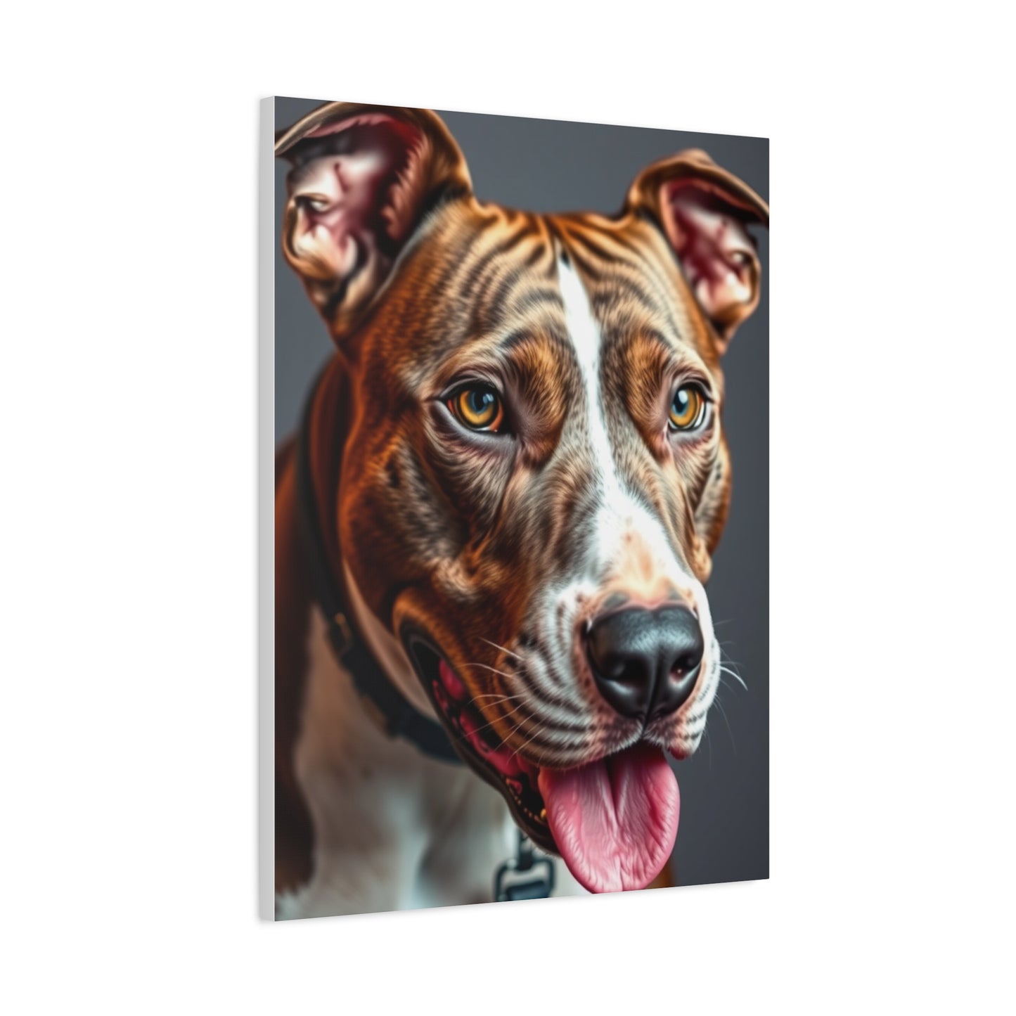 Supreme Pit Bull Art Collection Wall Art & Canvas Print