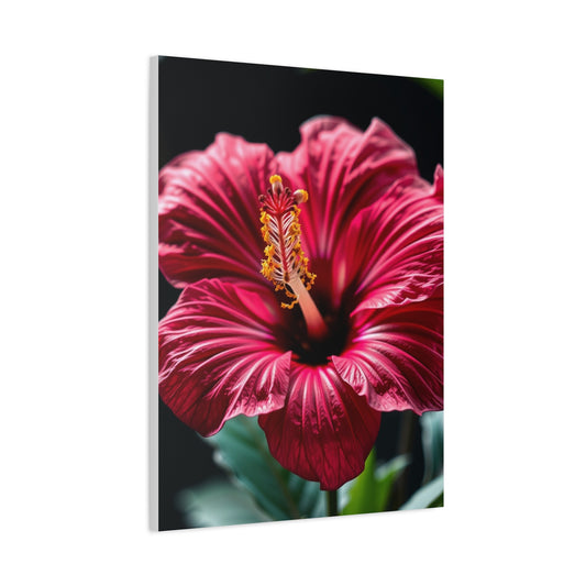 Hibiscus Flower Art Refined Canvas Wall Art & Canvas Print
