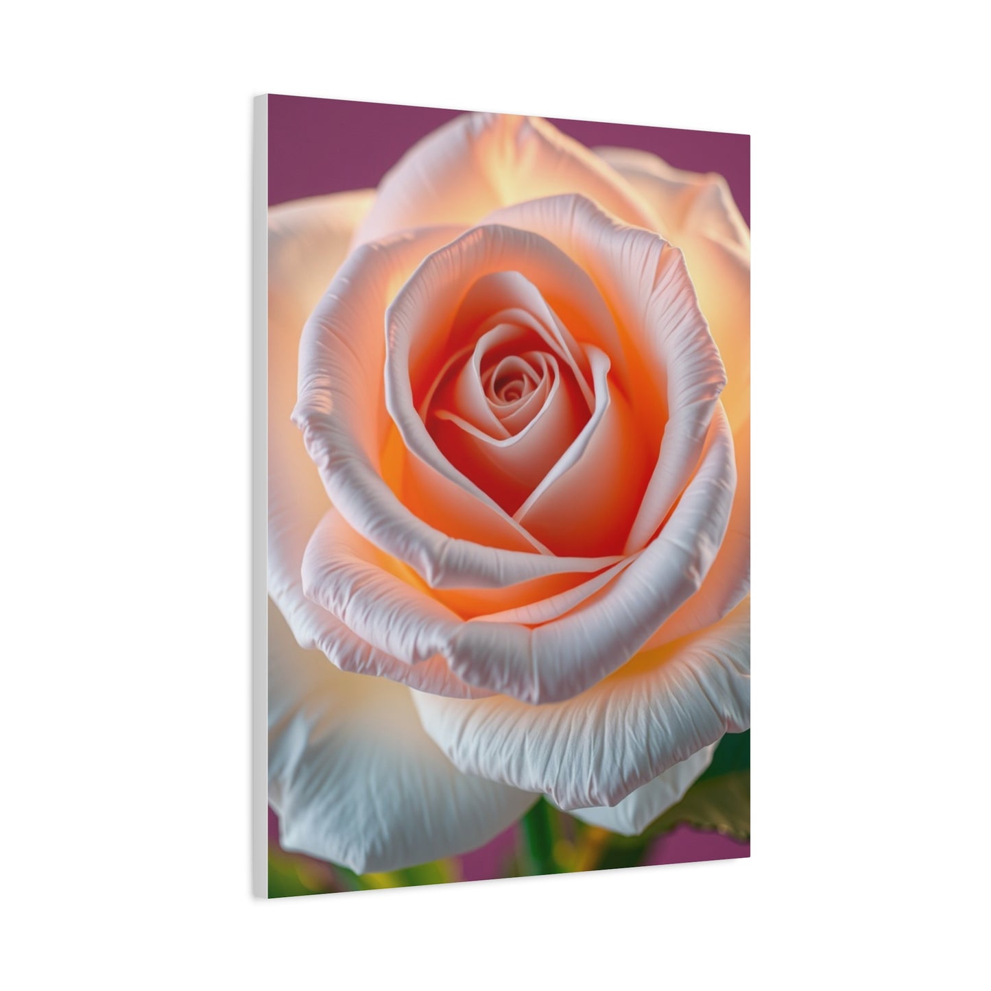 Rose Art Supreme Gallery Wall Art & Canvas Print