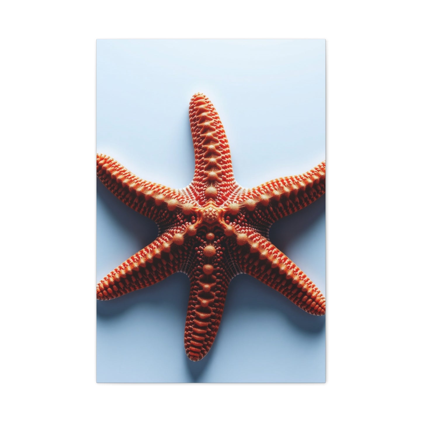 Starfish Art Supreme Gallery Wall Art & Canvas Print
