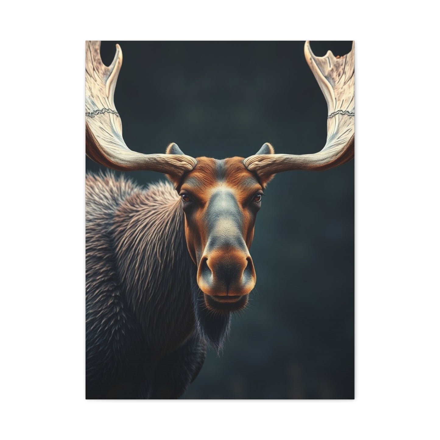 Moose Art Luxury Canvas Wall Art & Canvas Print