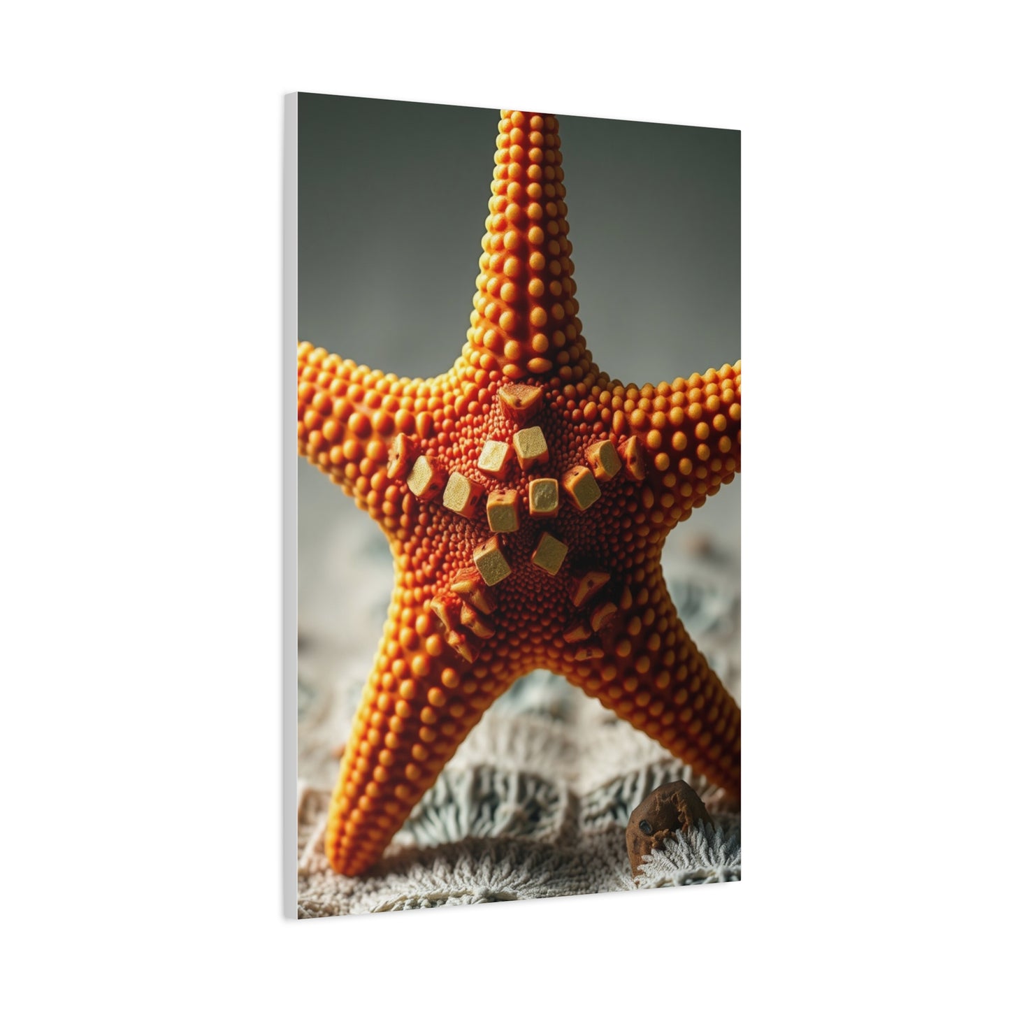 Supreme Starfish Art Collection Wall Art & Canvas Print
