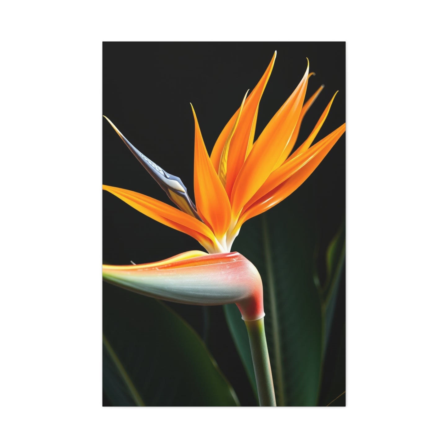 Vision Bird of Paradise Plant Art Art Wall Art & Canvas Print