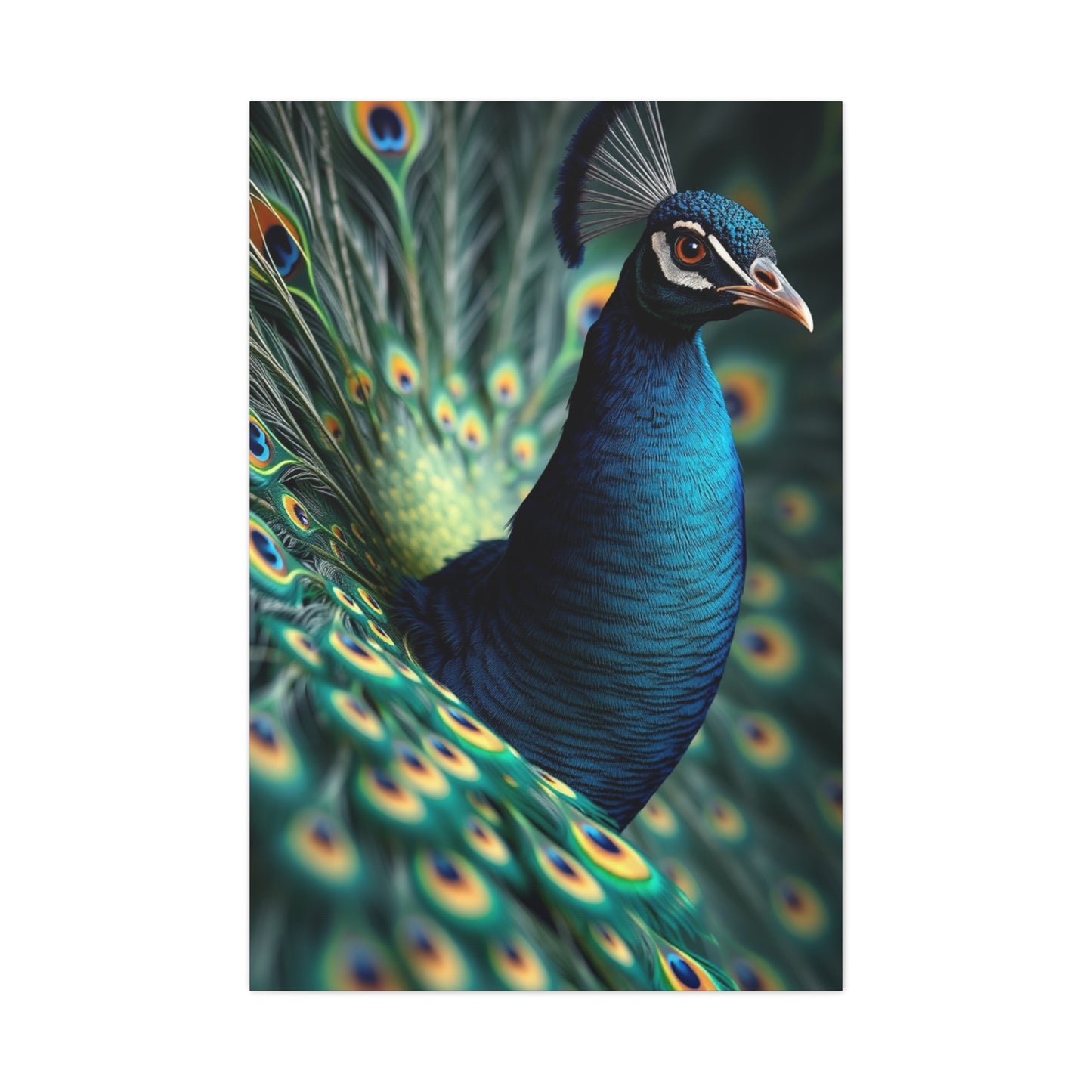 Peacock Art Luxury Canvas Wall Art & Canvas Print