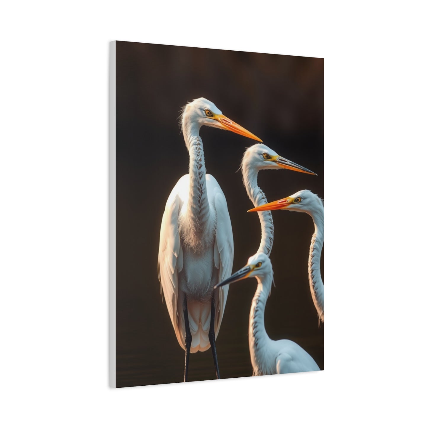 Elite Herons and Egrets Art Vision Wall Art & Canvas Print