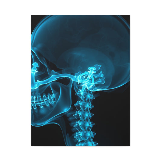 Masterpiece X-Ray Photography Art Vision Wall Art & Canvas Print