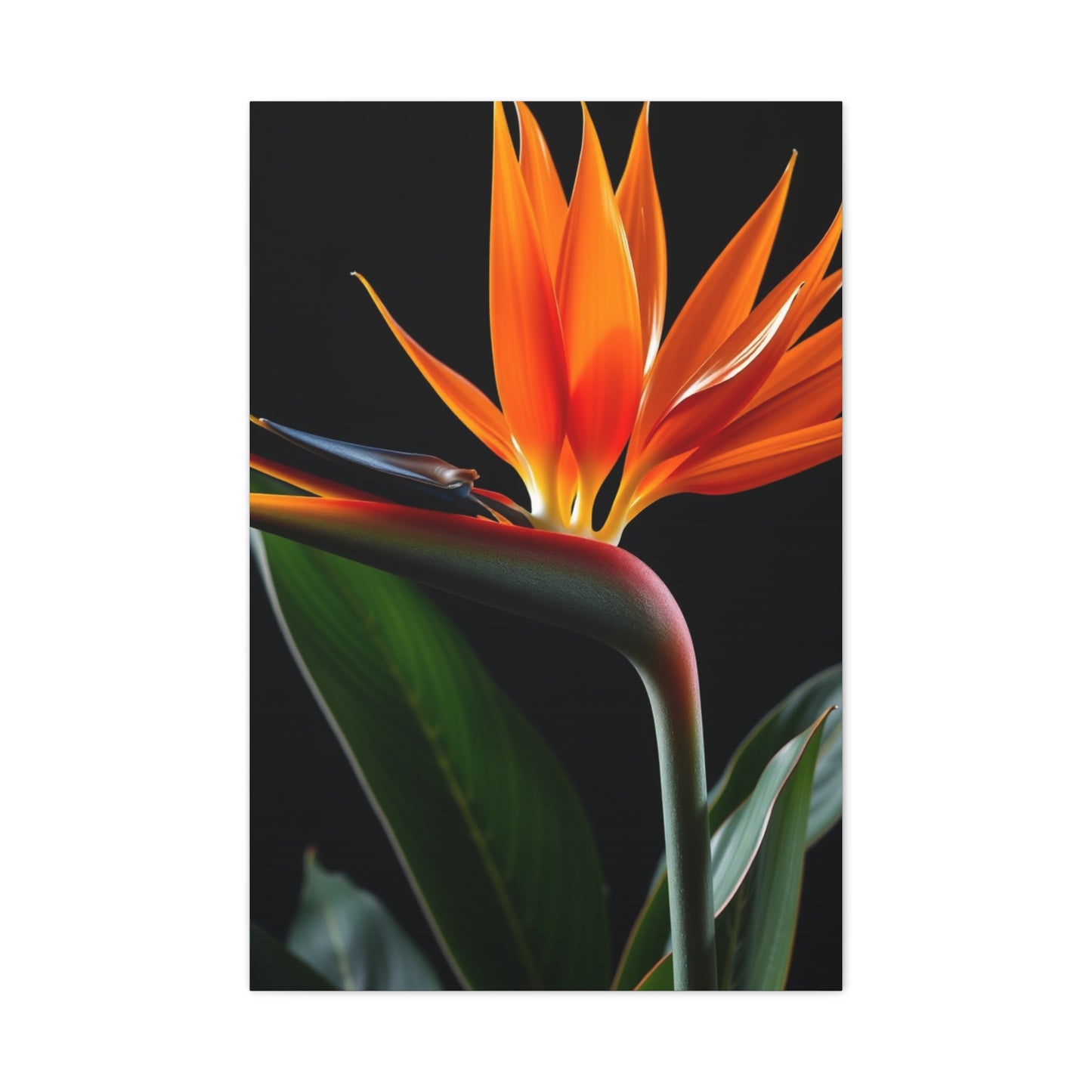 Masterpiece Bird of Paradise Plant Art Vision Wall Art & Canvas Print
