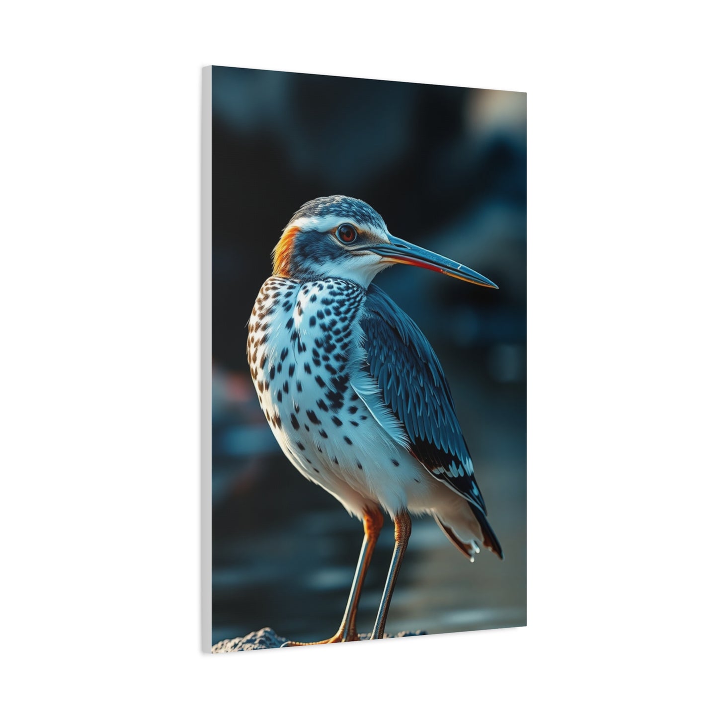 Masterpiece Sandpiper Art Vision Wall Art & Canvas Print