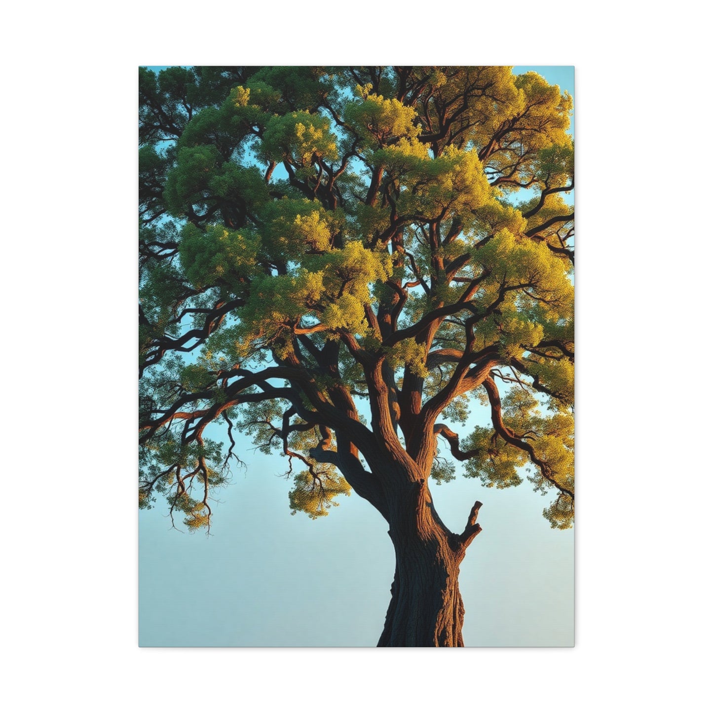 Oak Tree Art Supreme Gallery Wall Art & Canvas Print