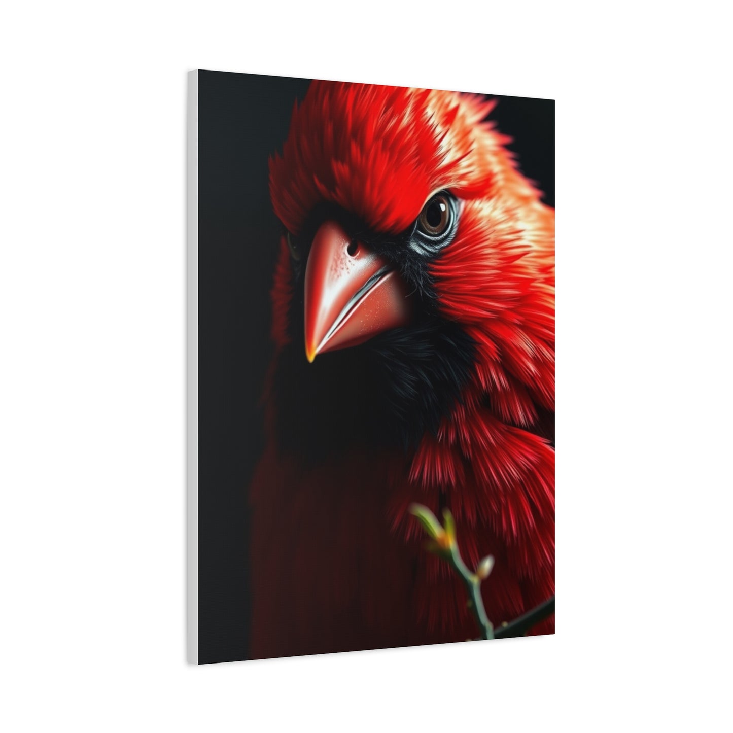 Elite Cardinal Art Vision Wall Art & Canvas Print