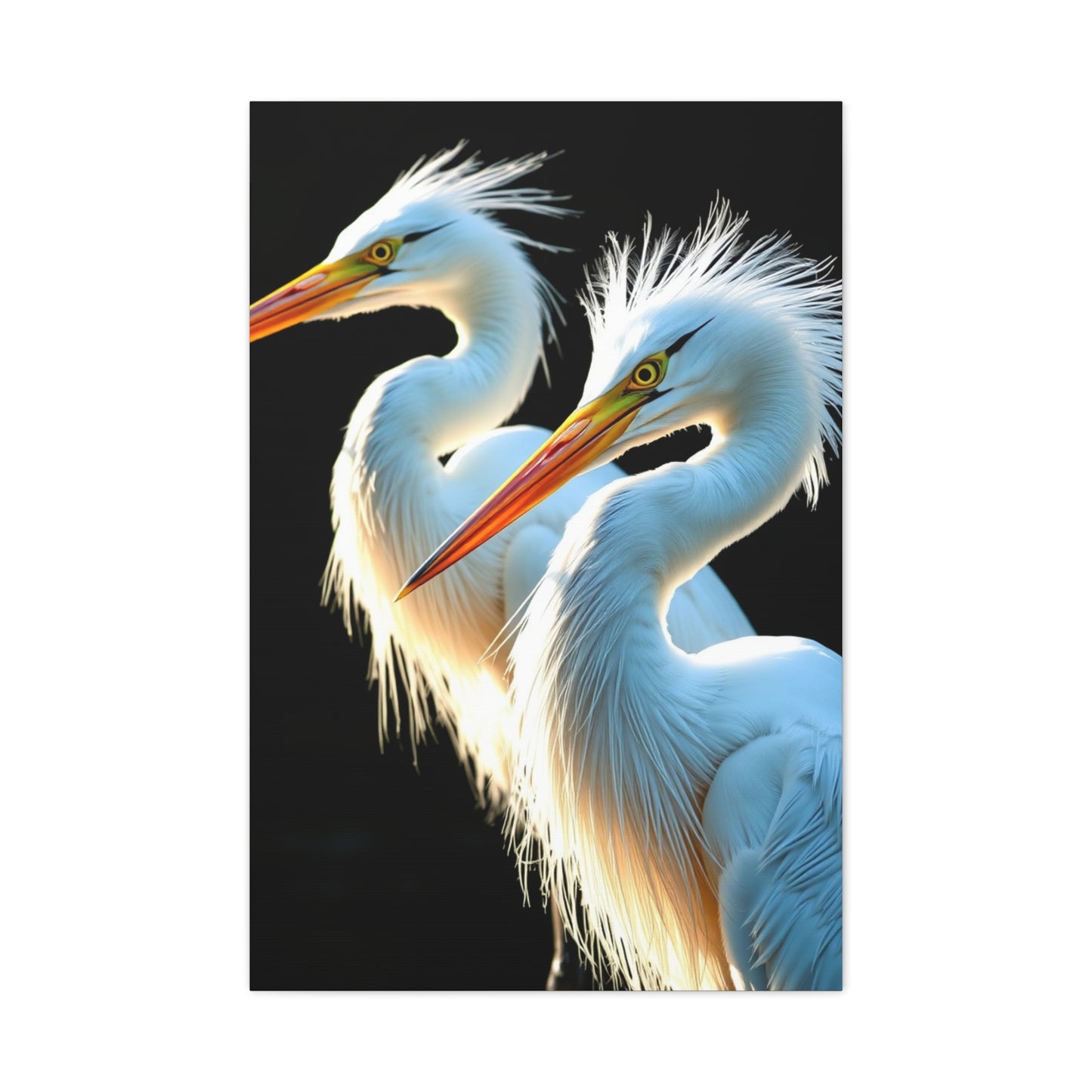 Herons and Egrets Art Supreme Gallery Wall Art & Canvas Print