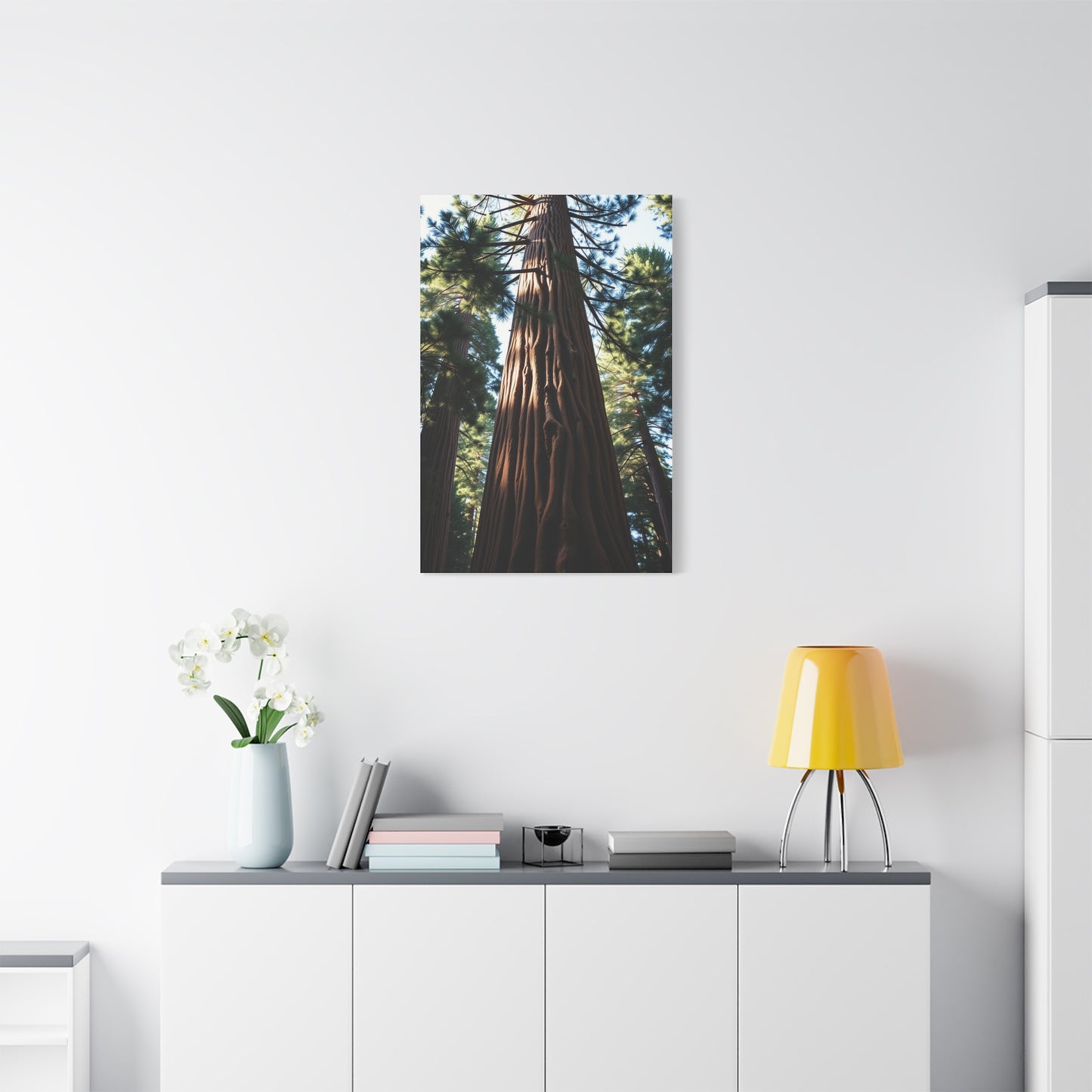 Redwood Tree Art Supreme Gallery Wall Art & Canvas Print