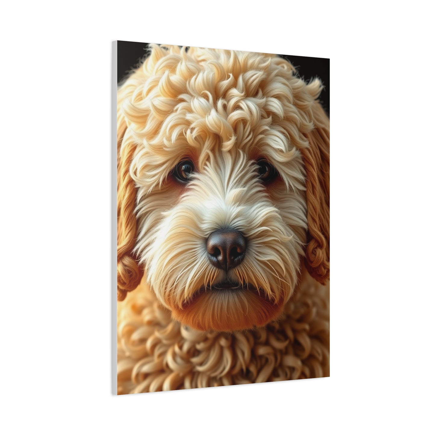 Golden Doodle Art Supreme Gallery Wall Art & Canvas Print