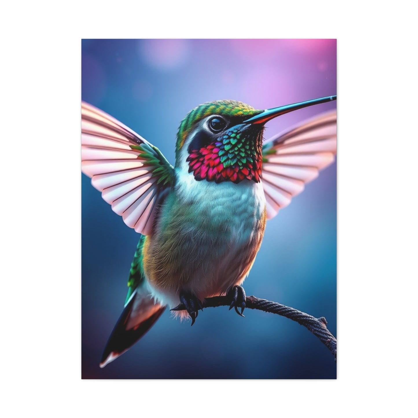 Humming Bird Art Luxury Canvas Wall Art & Canvas Print