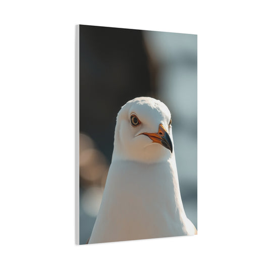 Sea Gull Art Supreme Gallery Wall Art & Canvas Print