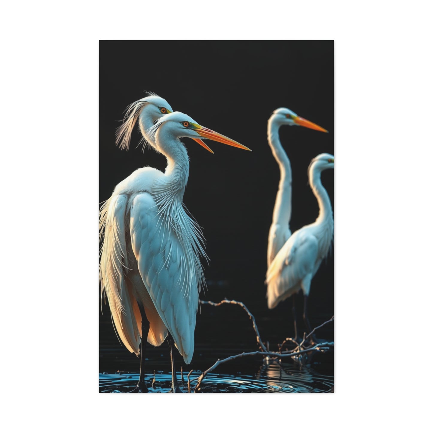 Collection Herons and Egrets Art Art Wall Art & Canvas Print