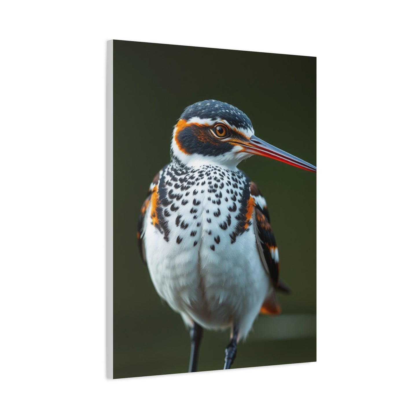 Collection Sandpiper Art Art Wall Art & Canvas Print