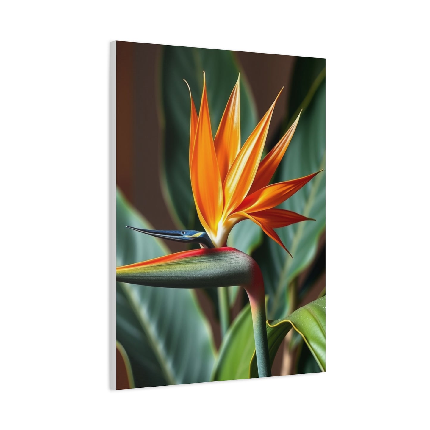 Elite Bird of Paradise Plant Art Vision Wall Art & Canvas Print