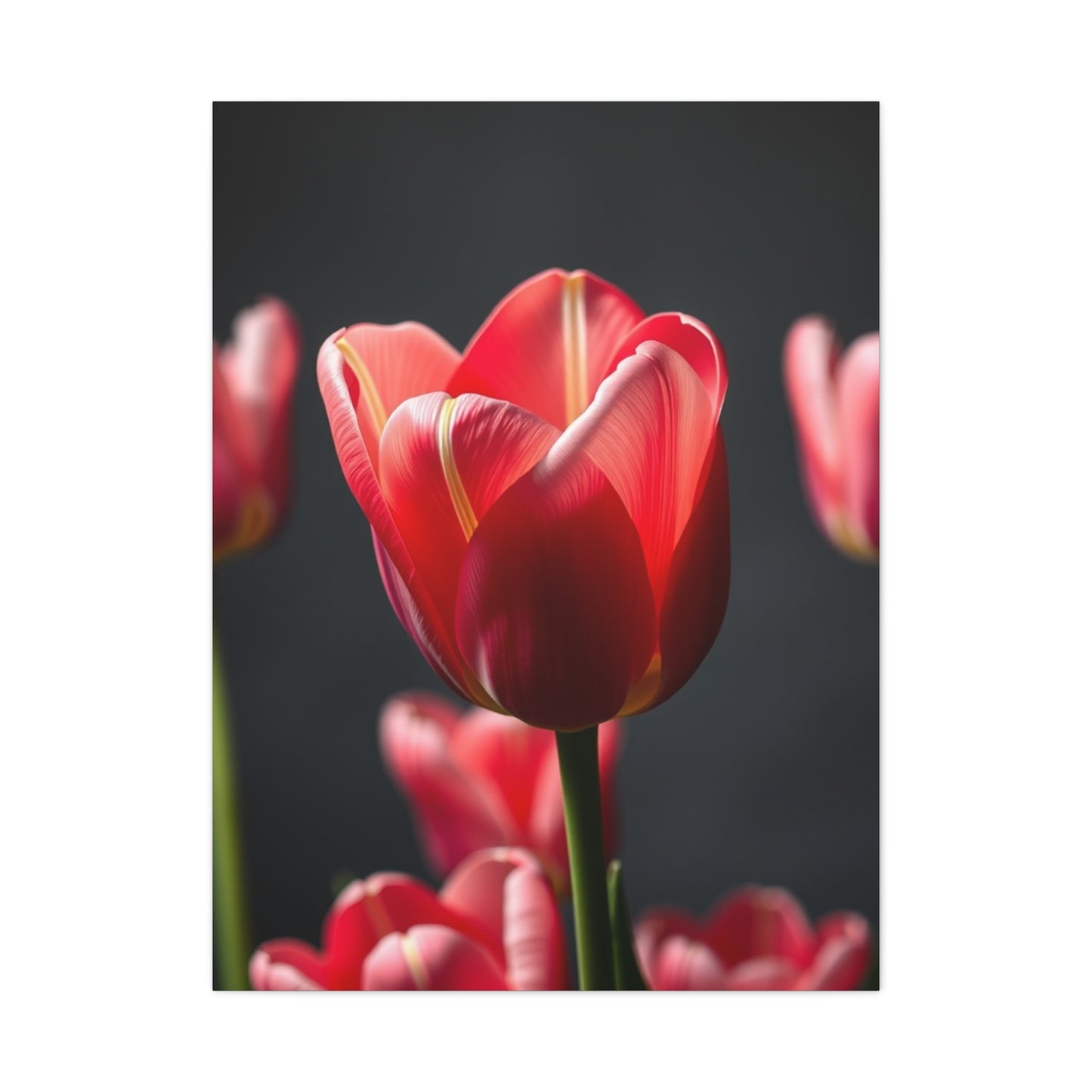 Masterpiece Tulip Flower Art Vision Wall Art & Canvas Print