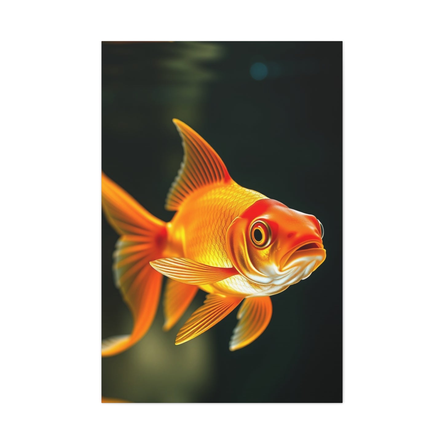 Goldfish Art Supreme Gallery Wall Art & Canvas Print