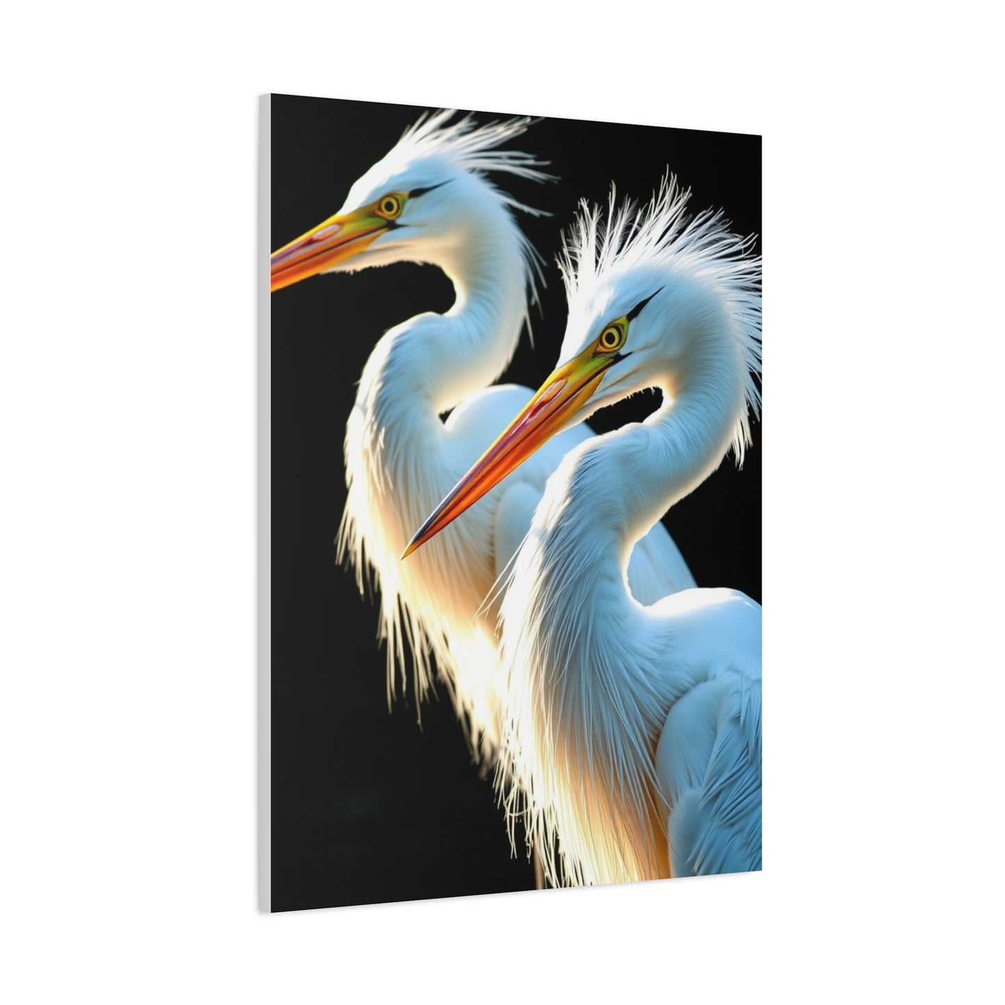Herons and Egrets Art Supreme Gallery Wall Art & Canvas Print