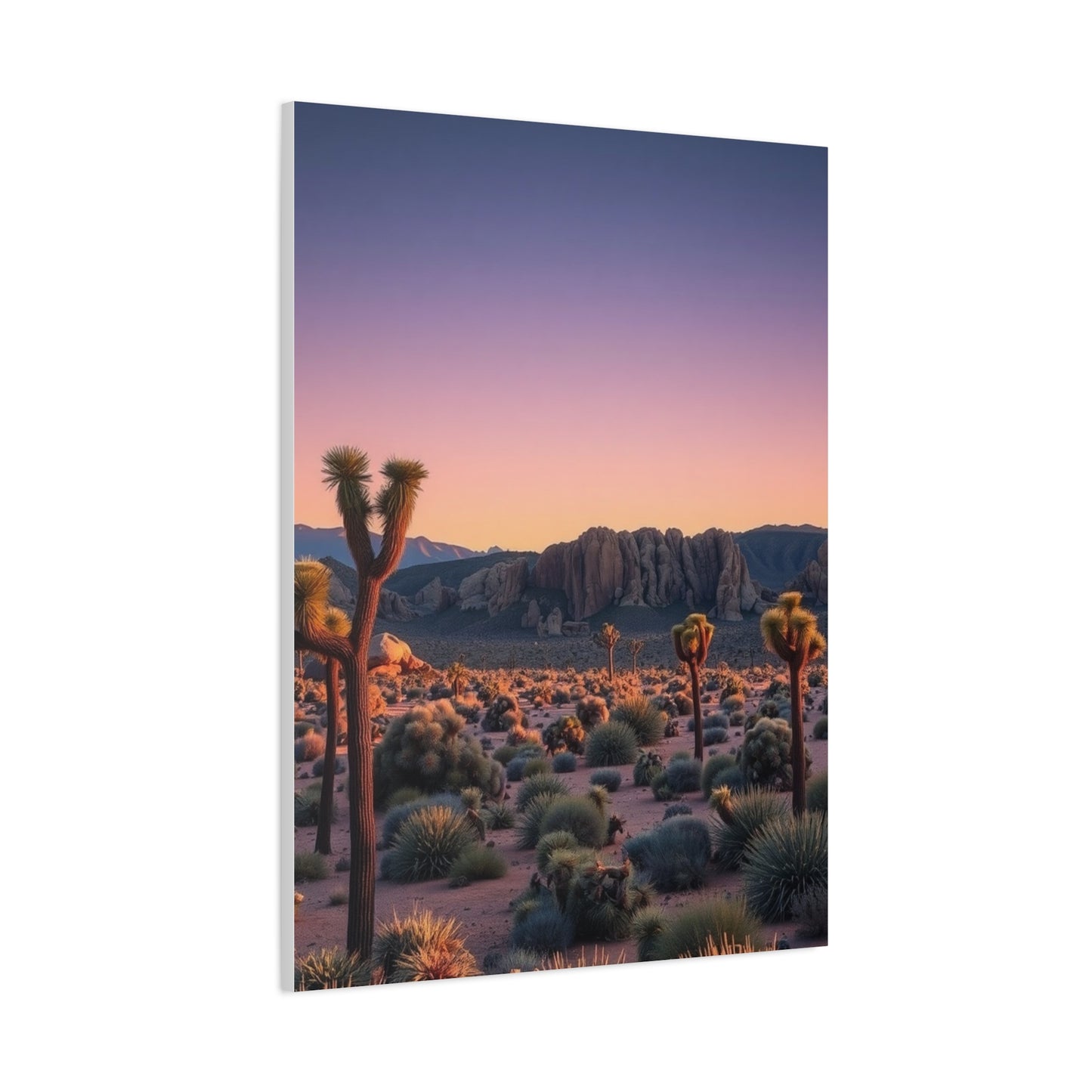 Joshua Tree National Park Art Supreme Gallery Wall Art & Canvas Print