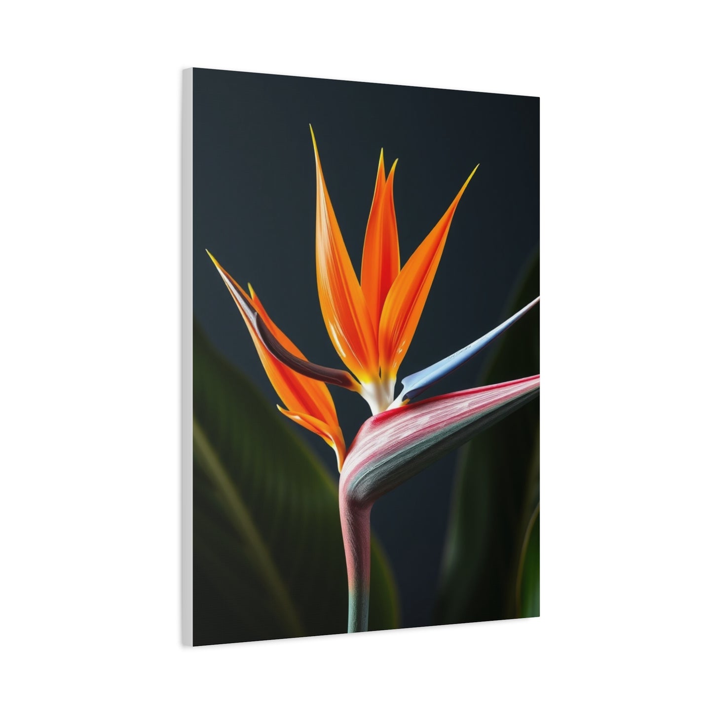 Supreme Bird of Paradise Plant Art Collection Wall Art & Canvas Print